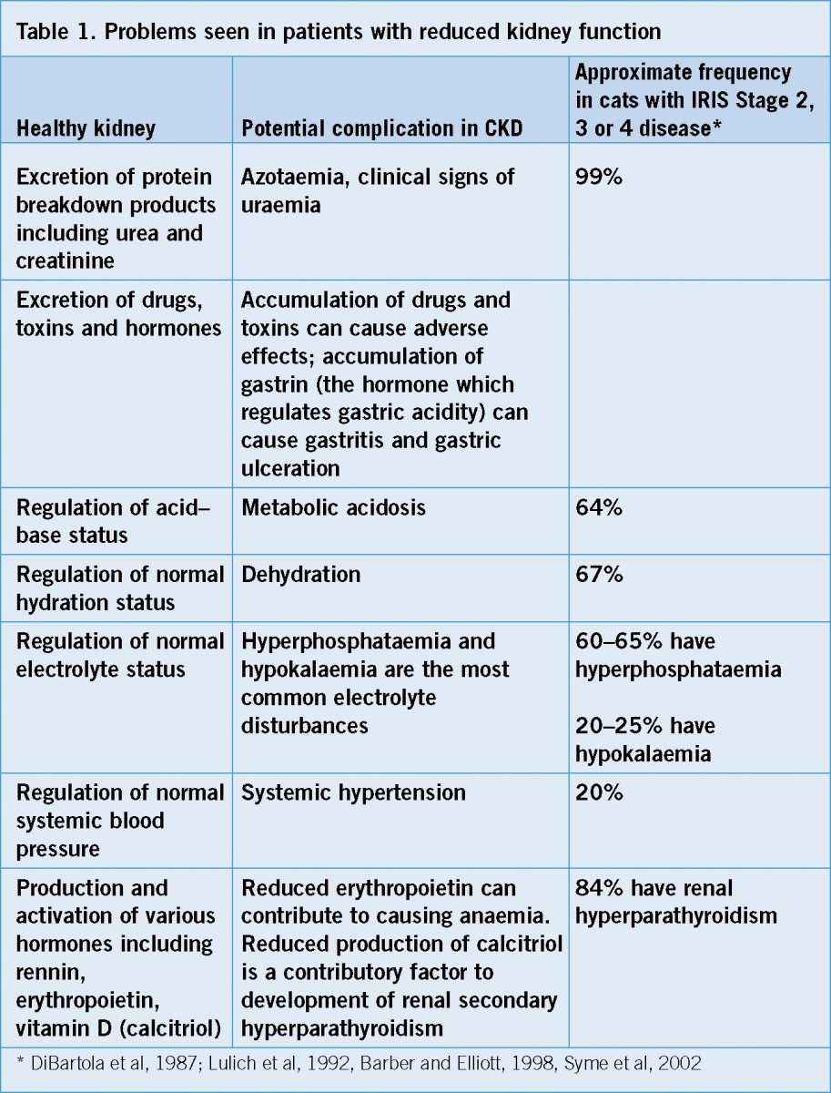 Stage 4 Kidney Disease In Cats Symptoms