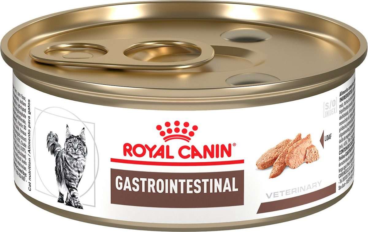 Royal Canin Veterinary Diet Gastrointestinal High Energy Canned Cat ...